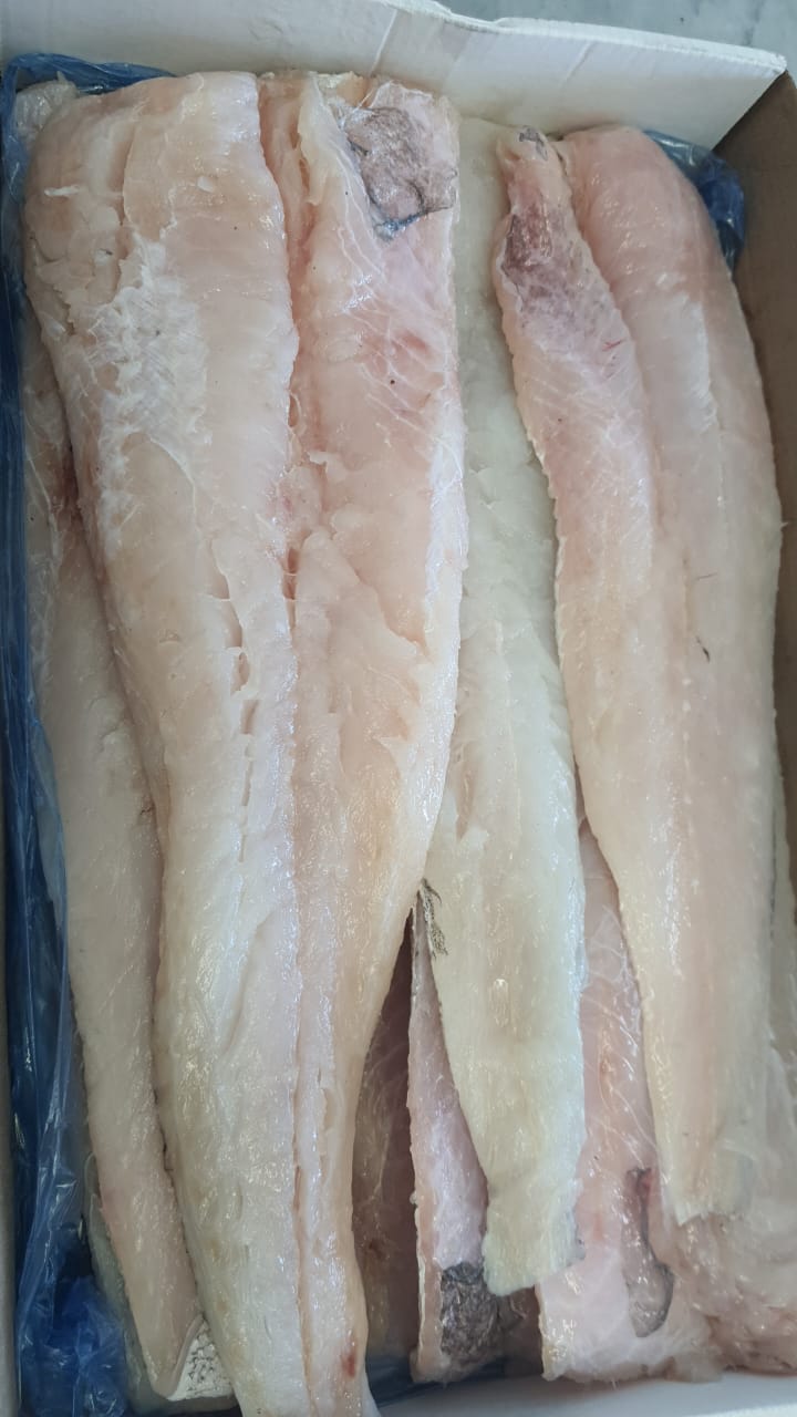 Hake
